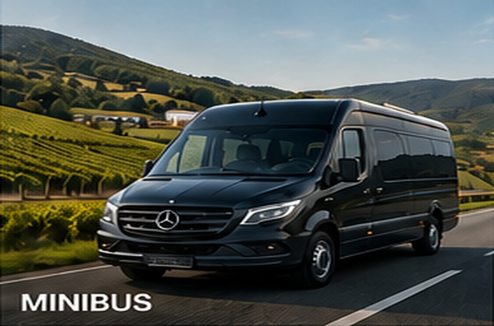 01_04_minibus